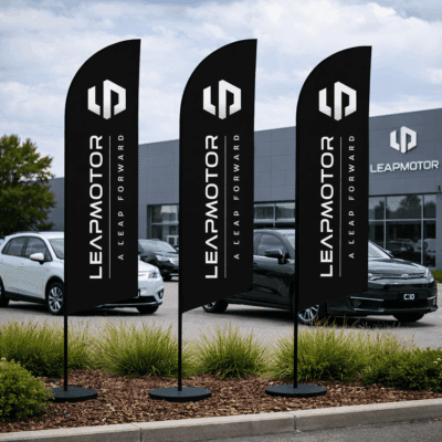 Leap Motor Flags