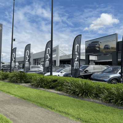 BYD Flags